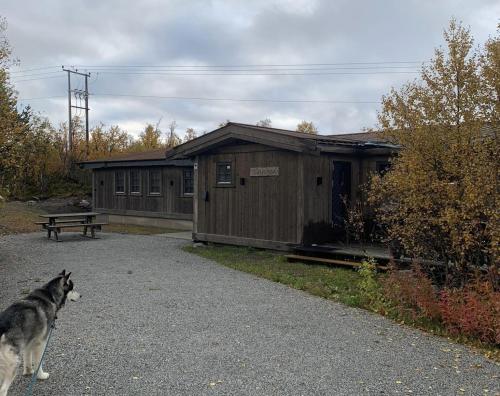 New mountain lodge Geilo Kikut Great location — 4-Star Luxury Hotel in Geilo, Norway