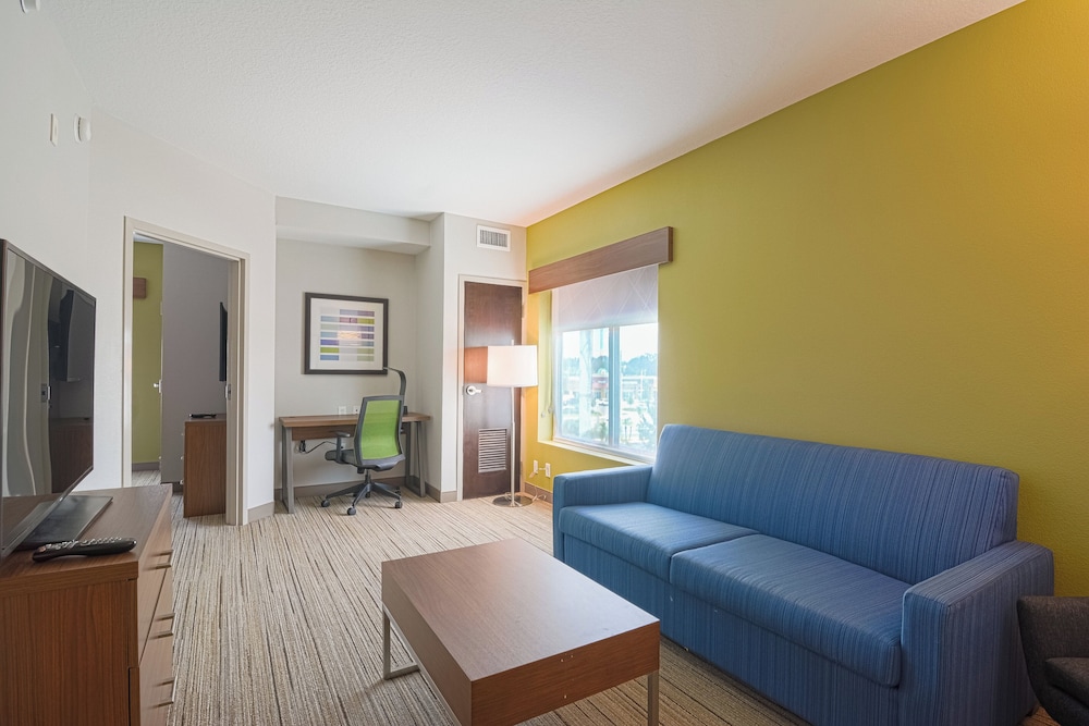 Holiday Inn Express & Suites Tampa USF Busch Gardens by IHG - photo 22