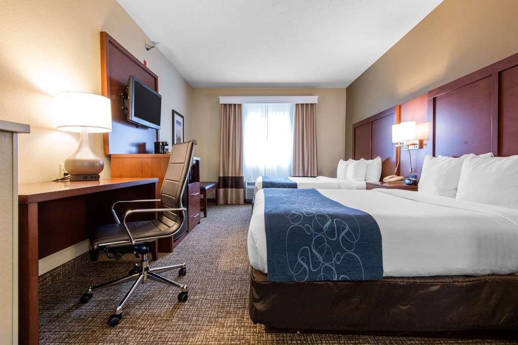Comfort Suites Rochester Henrietta University Area - photo 15