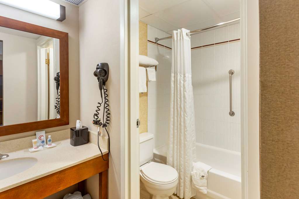 Comfort Suites Oakbrook Terrace near Oakbrook Center - photo 18