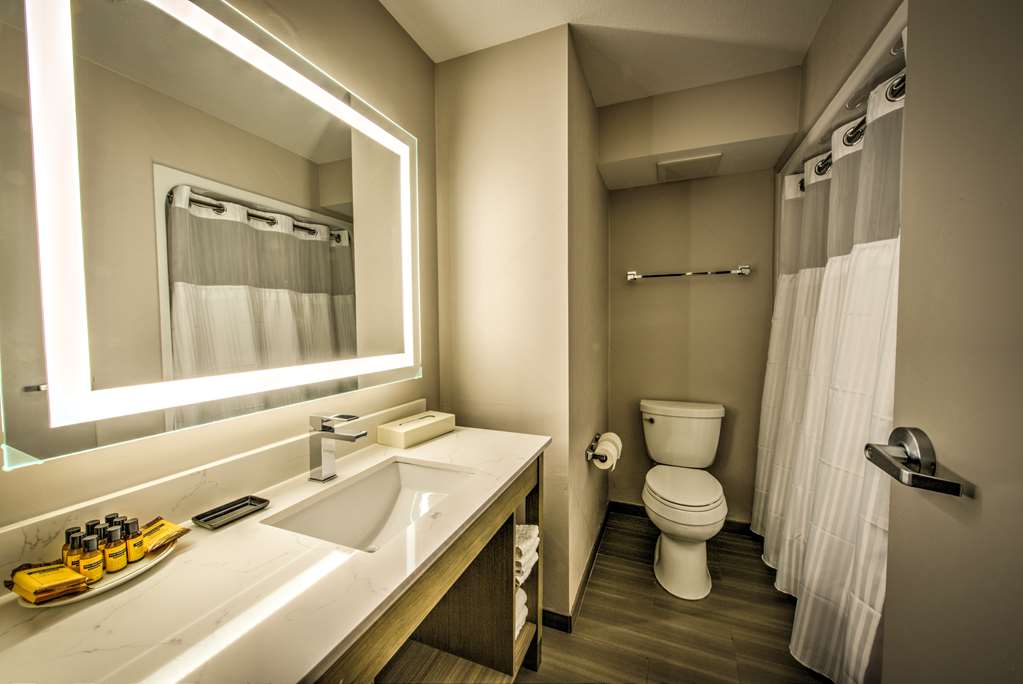 Best Western Plus Media Center Inn & Suites - photo 14