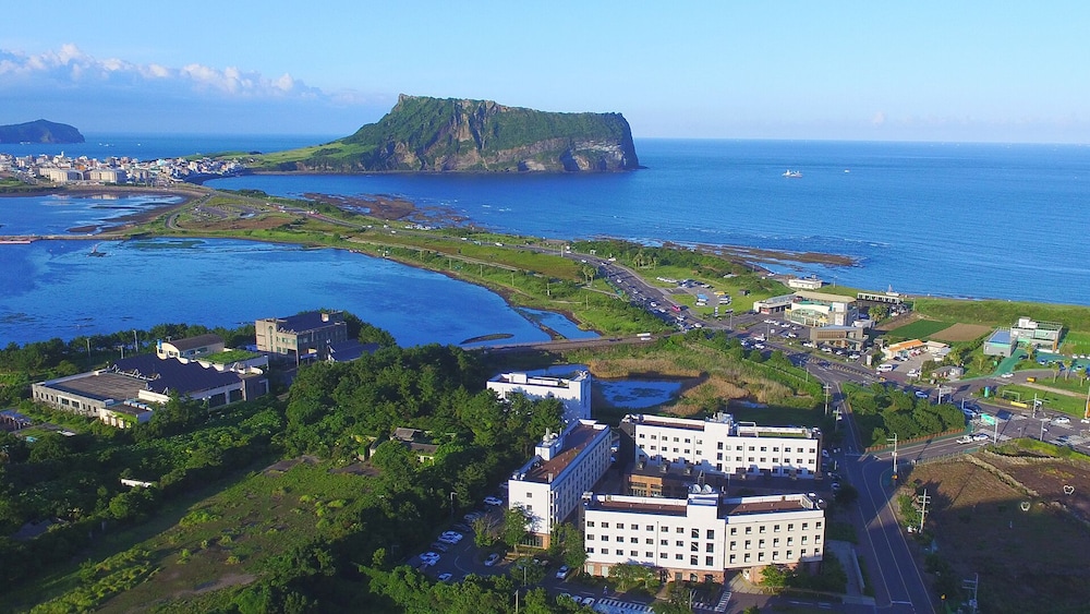 Playce Camp Jeju — 4-Star Luxury Hotel in Seogwipo, South Korea
