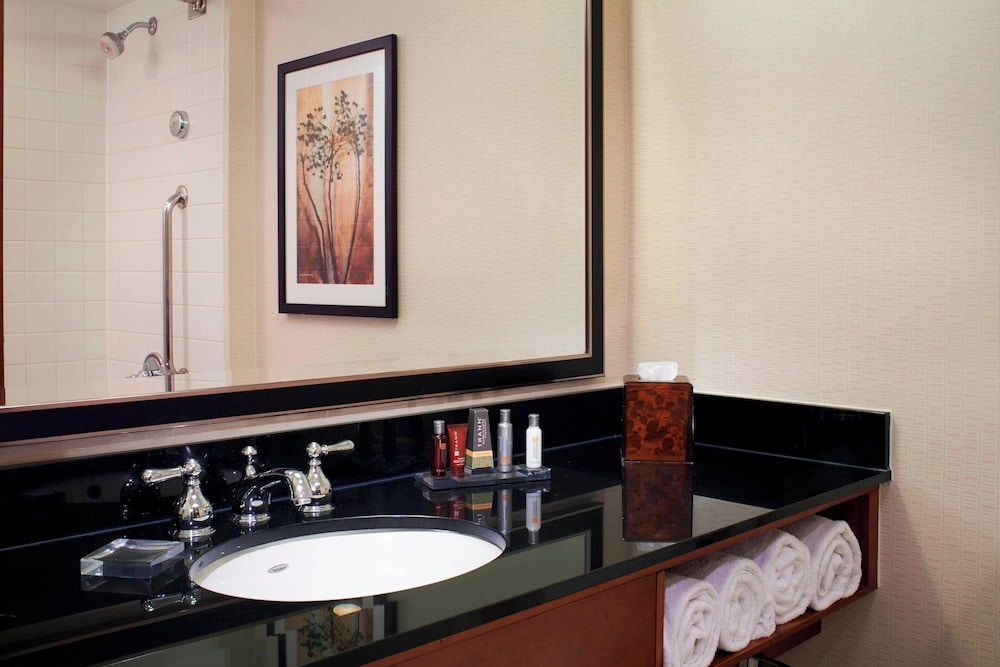 Detroit Metro Airport Marriott - photo 38