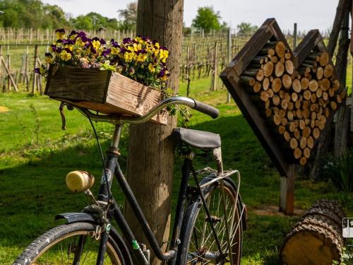 Gozdarjeva hiška M&K in Dobrovnik, Slovenia