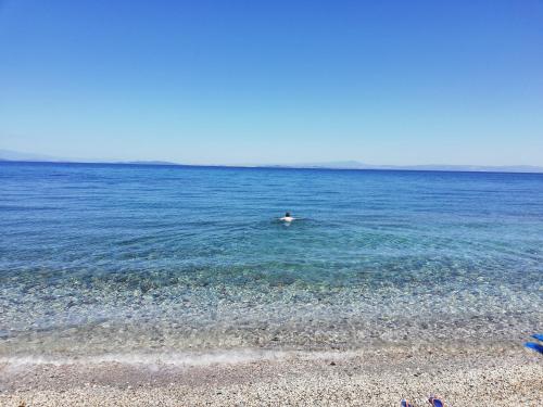 Fotis Apartments — 4-Star Luxury Hotel in Mytilene, Greece