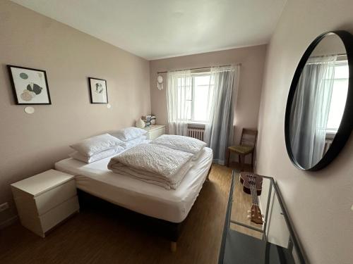Apartment in Laugarnesvegi Reykjavik Birta Rentals