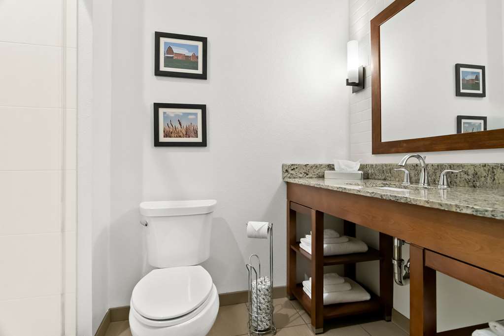 Comfort Suites Rensselaer near Fair Oaks - photo 28