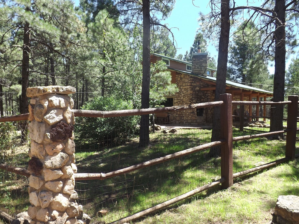 Arizona Mountain Inn and Cabins - photo 268