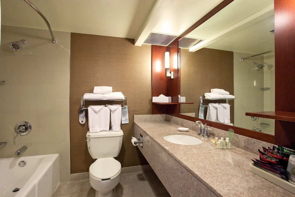 Holiday Inn Los Angeles Gateway Torrance by IHG - photo 20