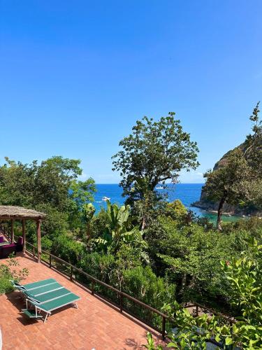 Casa Rosada villa vista mare Ischia — 4-Star Luxury Hotel in Ischia, Italy