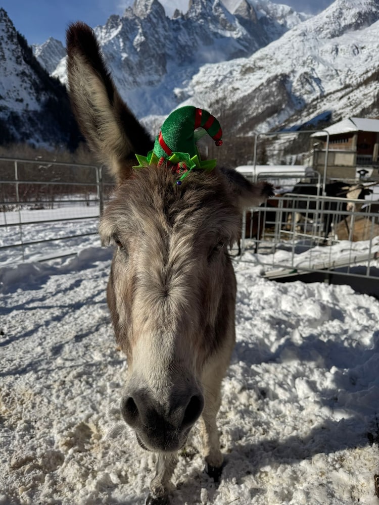 La Grange — hotel in Courmayeur