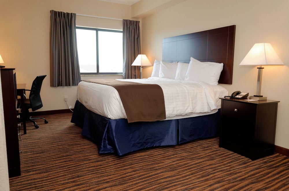 Cobblestone Inn & Suites Denison Oak Ridge - photo 16