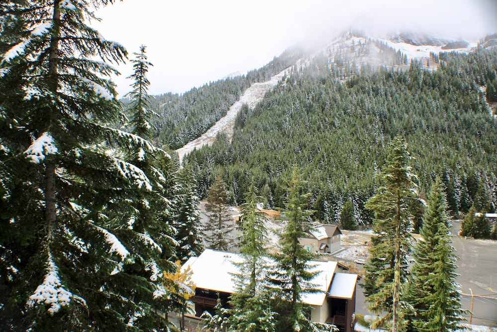 Crystal Chalets Condominiums at Crystal Mountain Ski Resort - photo 172