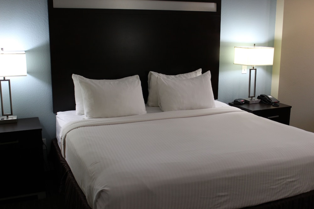 Horizon Inn & Suites Pearsall - photo 8