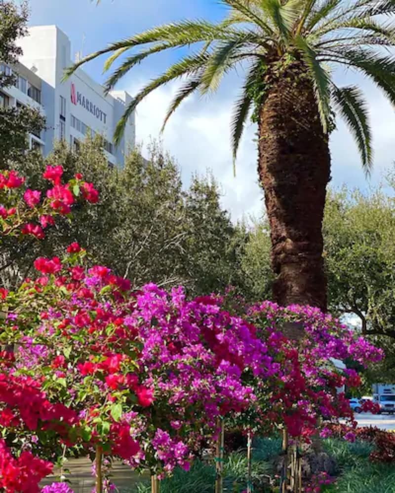 Palm Beach Gardens Marriott - photo 68