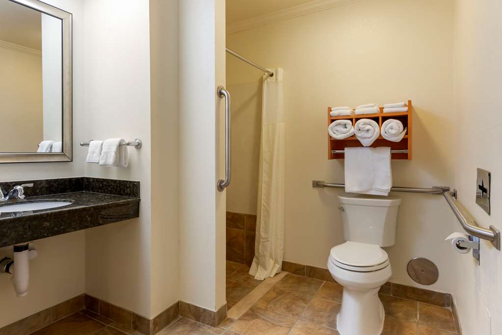 Best Western Davison Inn - photo 36