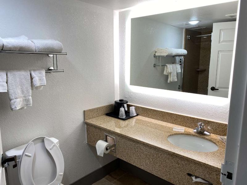 Best Western Kennesaw - photo 7