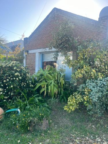 Techos Amarillos II in Castillos, Uruguay