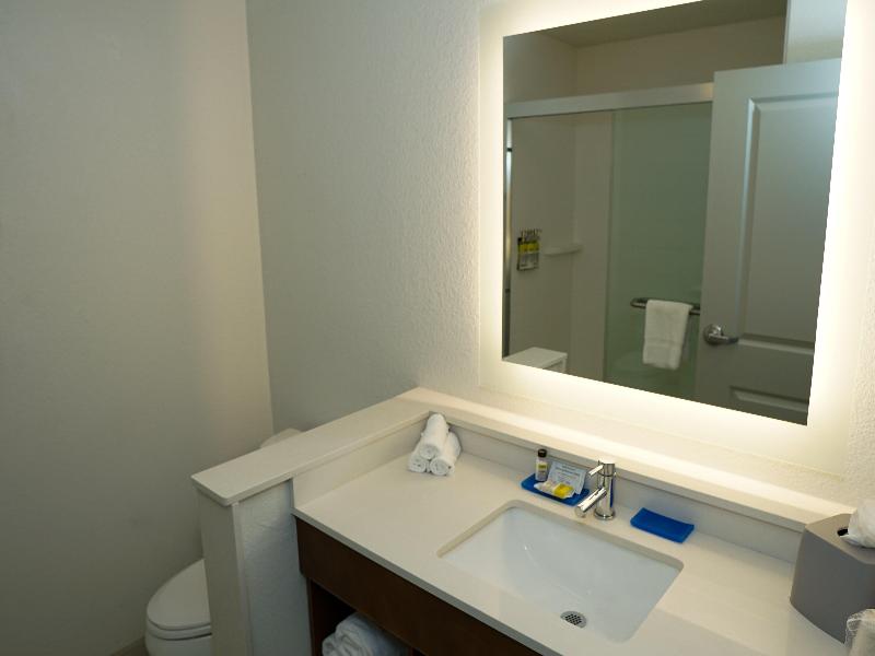 Holiday Inn Express & Suites Denver Aurora Medical Campus by IHG - photo 68