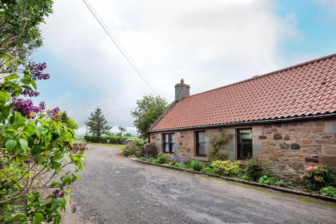 Westwood Cottage — Longniddry — photo 2