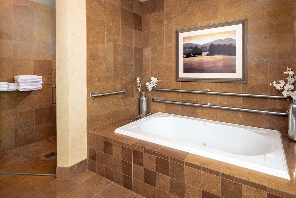 Embassy Suites Omaha La Vista Hotel & Conference Center - photo 10