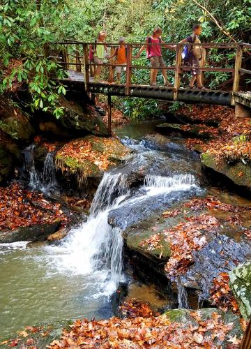 Green Mountain Park - photo 2