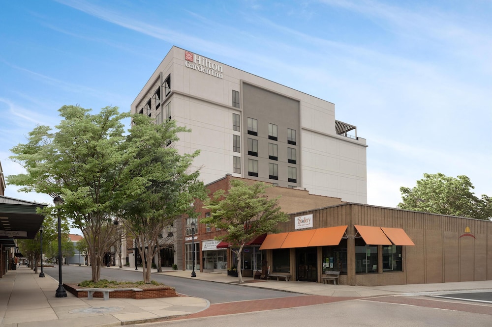 Hilton Garden Inn Greenville University Area - photo 62