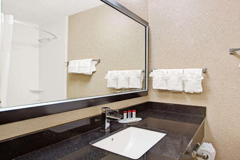 Ramada Plaza Charlotte Airport Hotel and Conference Center - photo 18