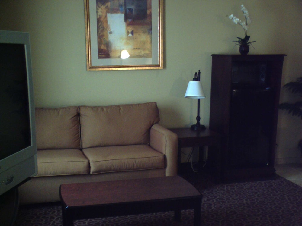 Hampton Inn Vidalia - photo 22