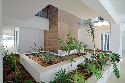 Golden Tree Apartment