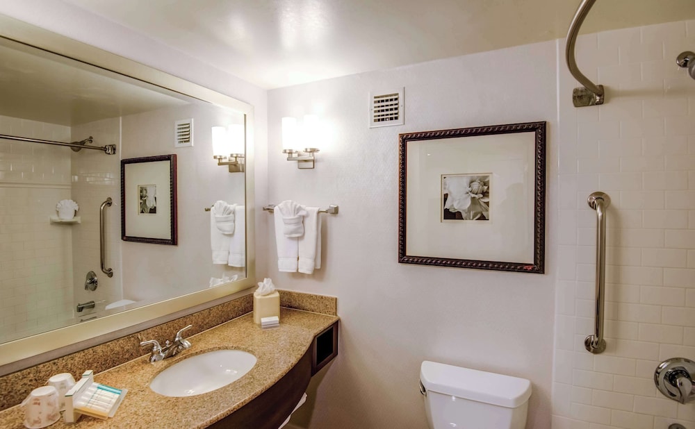 Hilton Garden Inn Tampa Ybor Historic District - photo 19