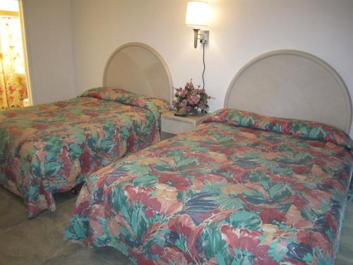 Apollo Resort Motel - photo 69
