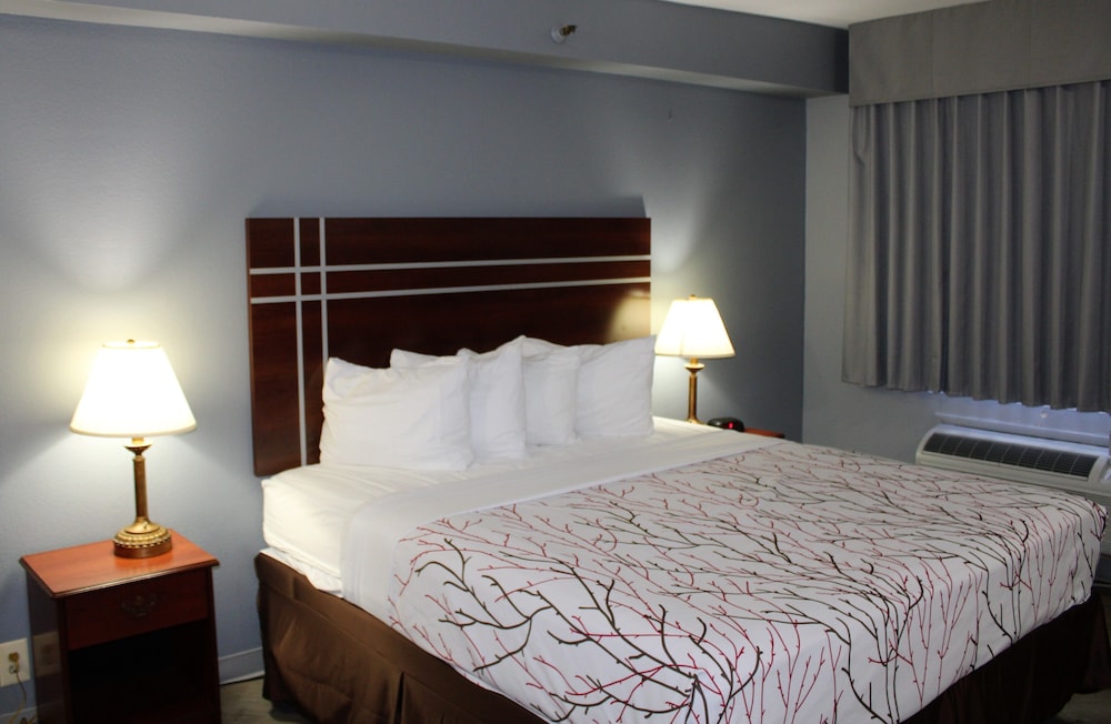Rancho San Diego Inn and Suites - photo 8