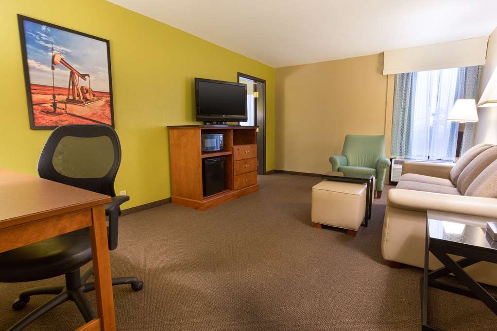 Drury Inn & Suites Houston Near the Galleria - photo 19