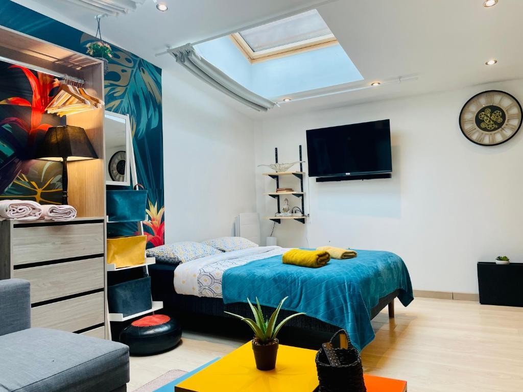 Jungle Studio 2P à 4P Henriville in Amiens, France