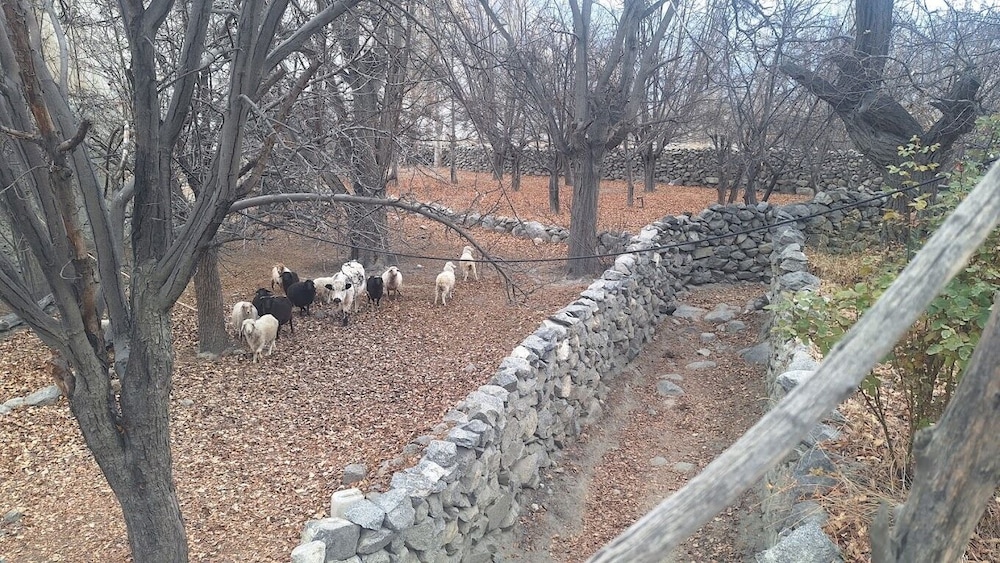 Kerch Gulmit Hotel in Unknown City, Pakistan