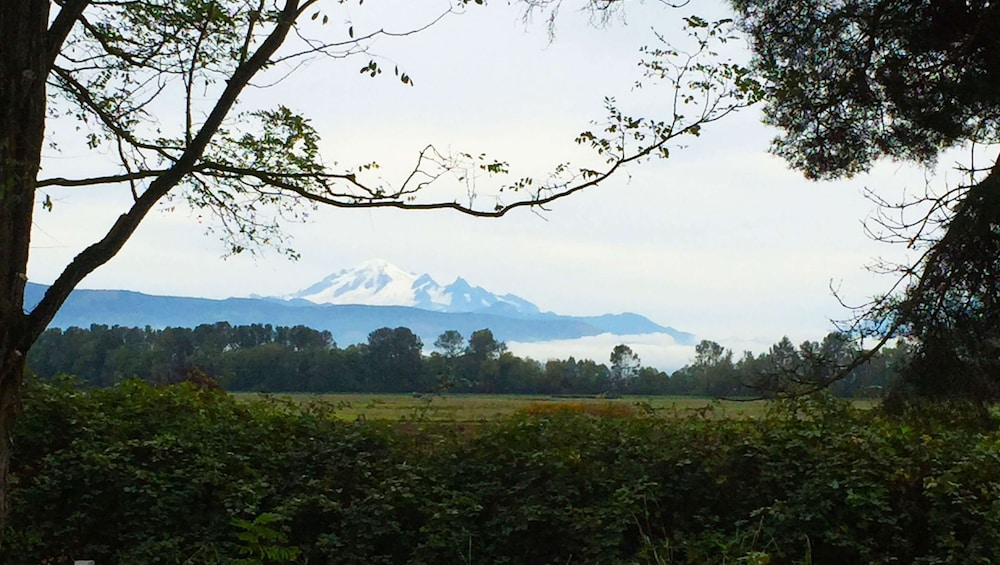 Windmill Inn Lynden - photo 44