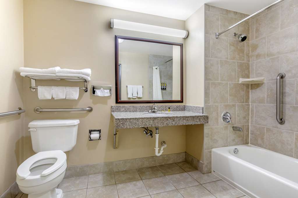 Best Western Plus Burleson Inn & Suites - photo 30