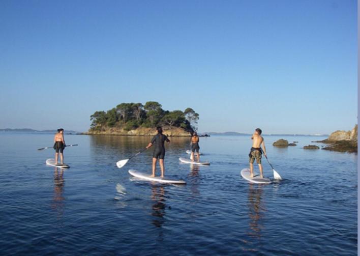 Studio Renove Balcon Ensoleille Et Calme — 4-Star Luxury Hotel in La Londe-Les-Maures, France