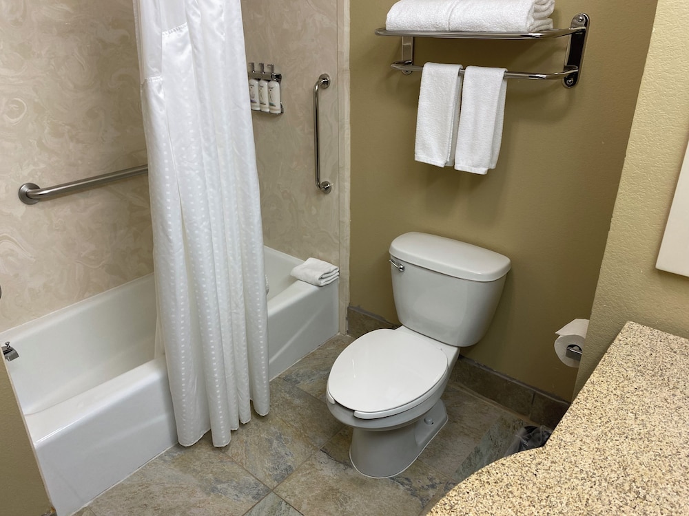 Holiday Inn Express &Suites Snyder by IHG - photo 17