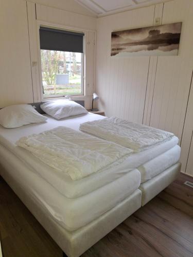 Molkenbos Terschelling - last minute hotel in Unknown City