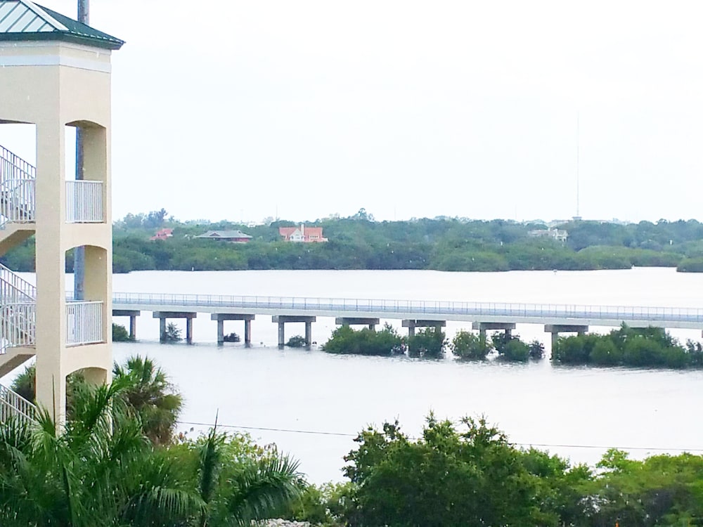 Boca Ciega Resort - photo 53
