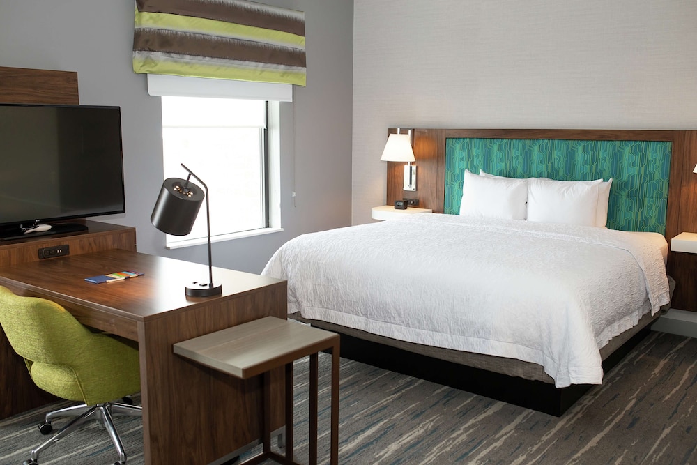 Hampton Inn & Suites Dundee - photo 20