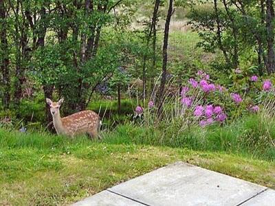 Moy — Lochgilphead — photo 5