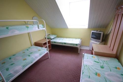 Korall — Arkhipo-Osipovka — photo 5