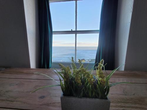 Seaside Ground Floor Flat Wifi & Free Parking
