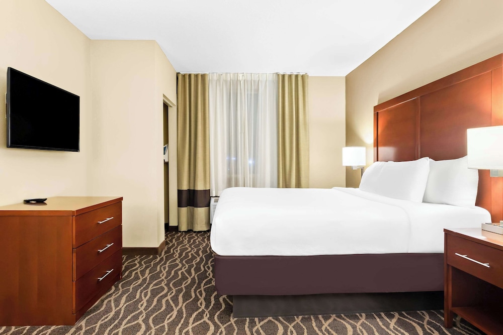 Comfort Suites Tampa Airport North - photo 14