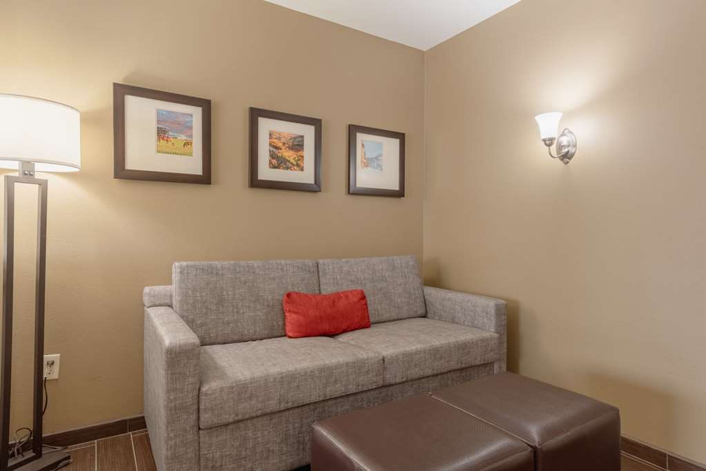 Comfort Inn & Suites Alamosa - photo 67