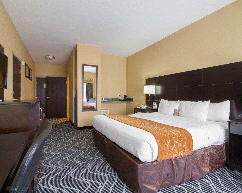 Comfort Suites Lake Ray Hubbard - photo 13