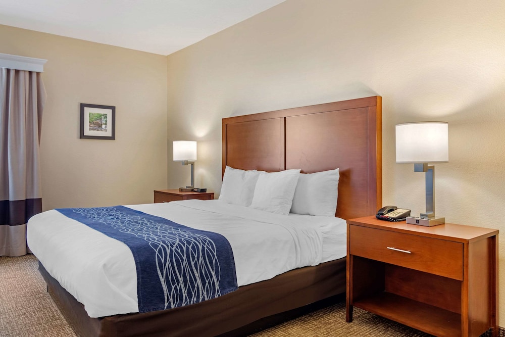 Comfort Inn Douglasville Atlanta West - photo 5